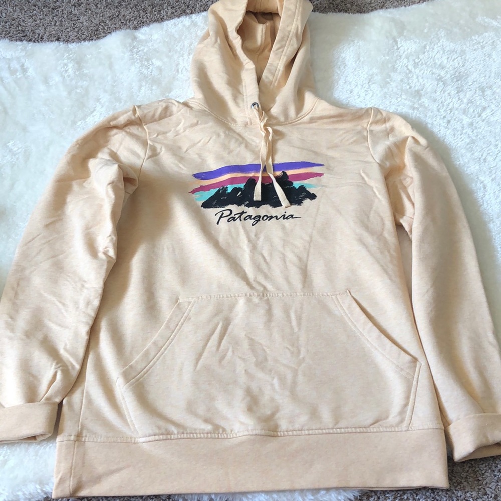 Patagonia hoodie